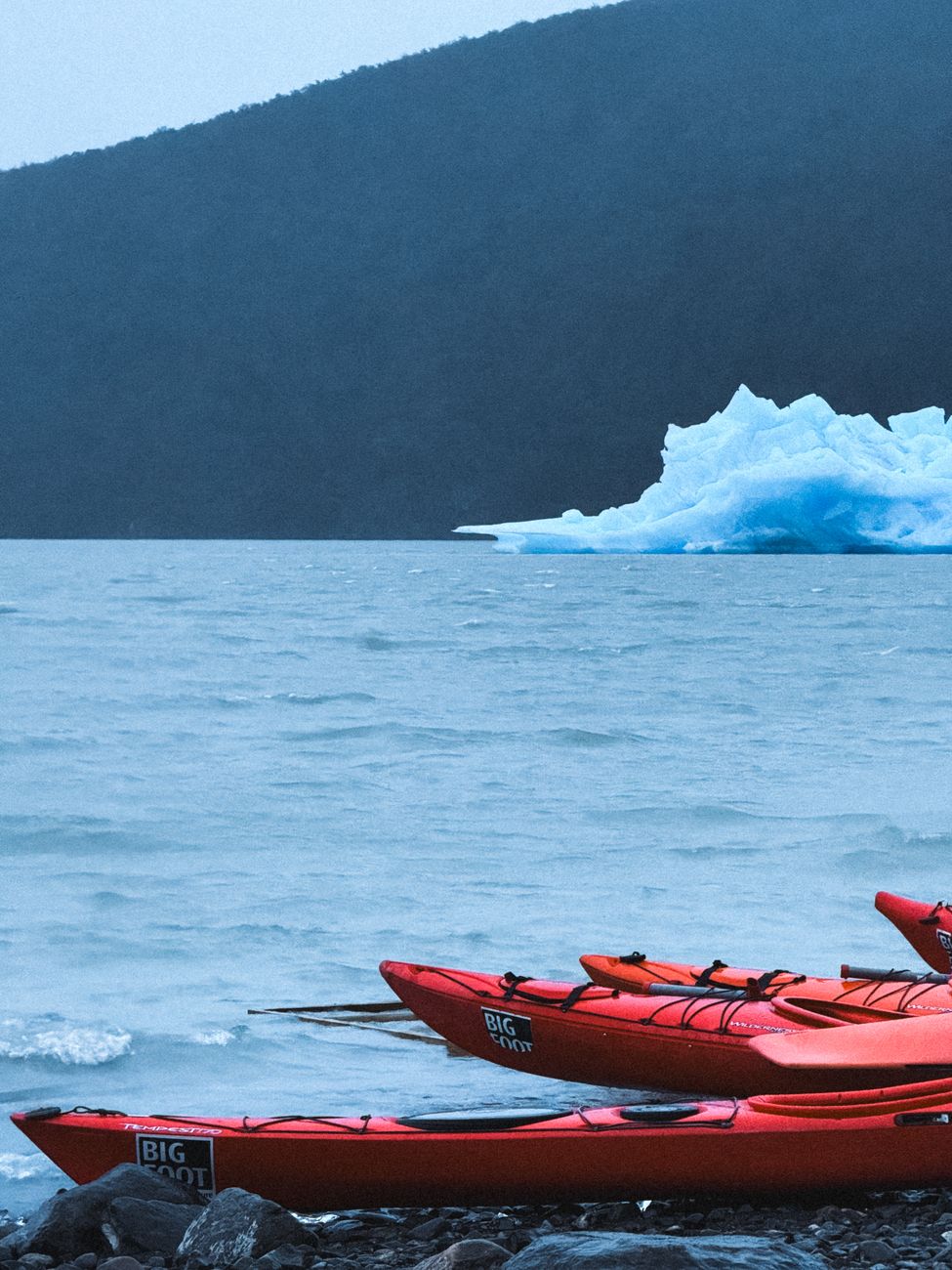 Patagonian fjord and mountains